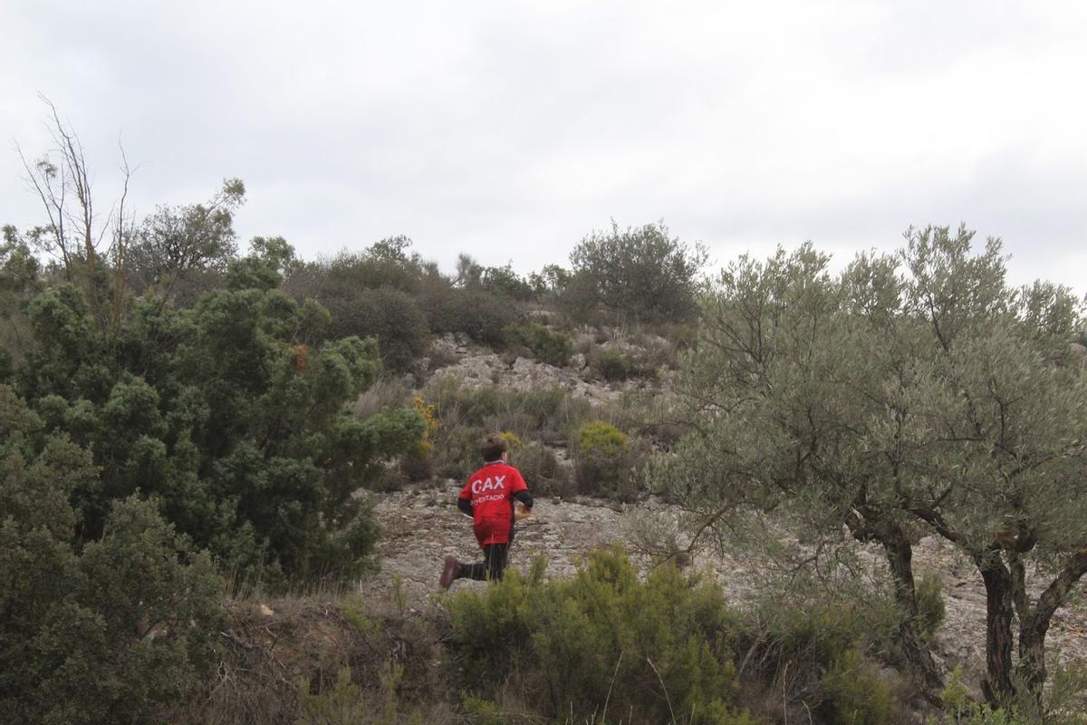 Un atleta del CAX Orientació durante la prueba disputada en Biar.