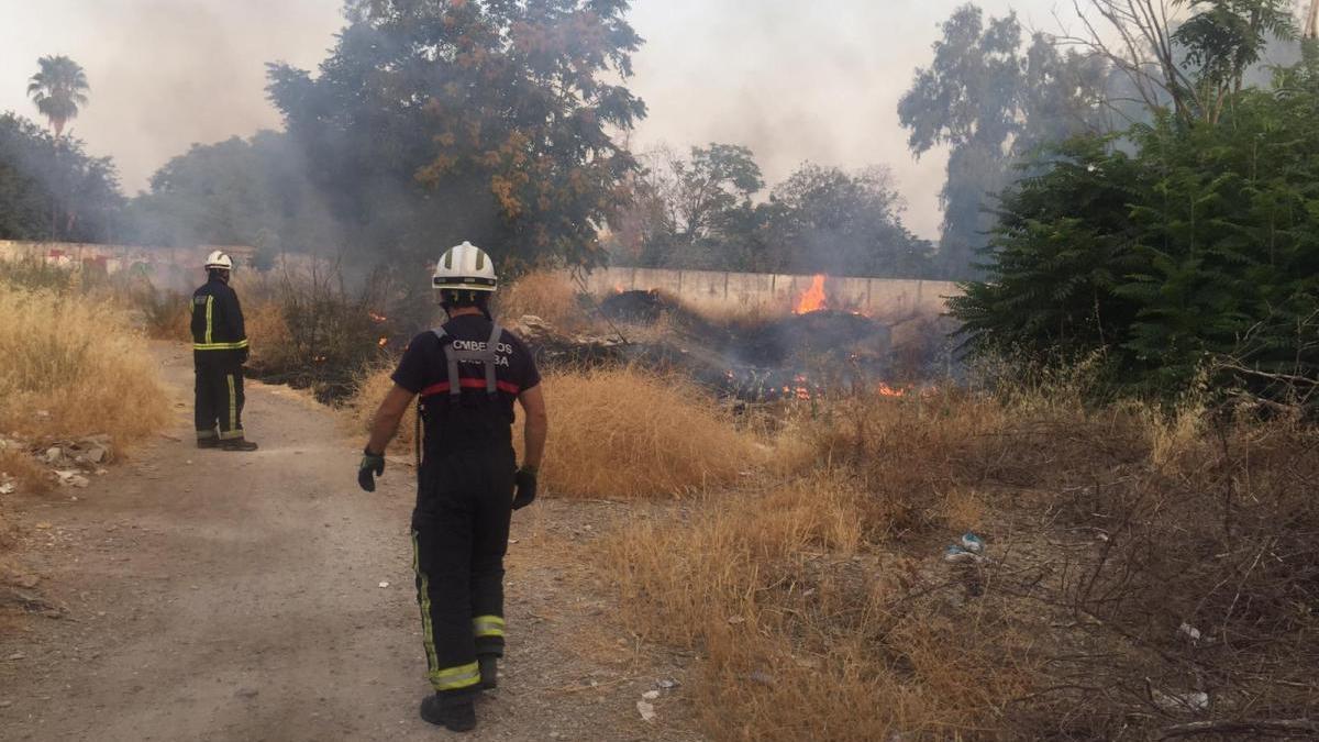 Arde otro contenedor en la calle Jerez y pastos junto a la avenida de Cádiz