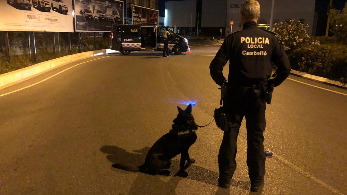 Actuación de la Policía Local de Castelló con la agente canina.