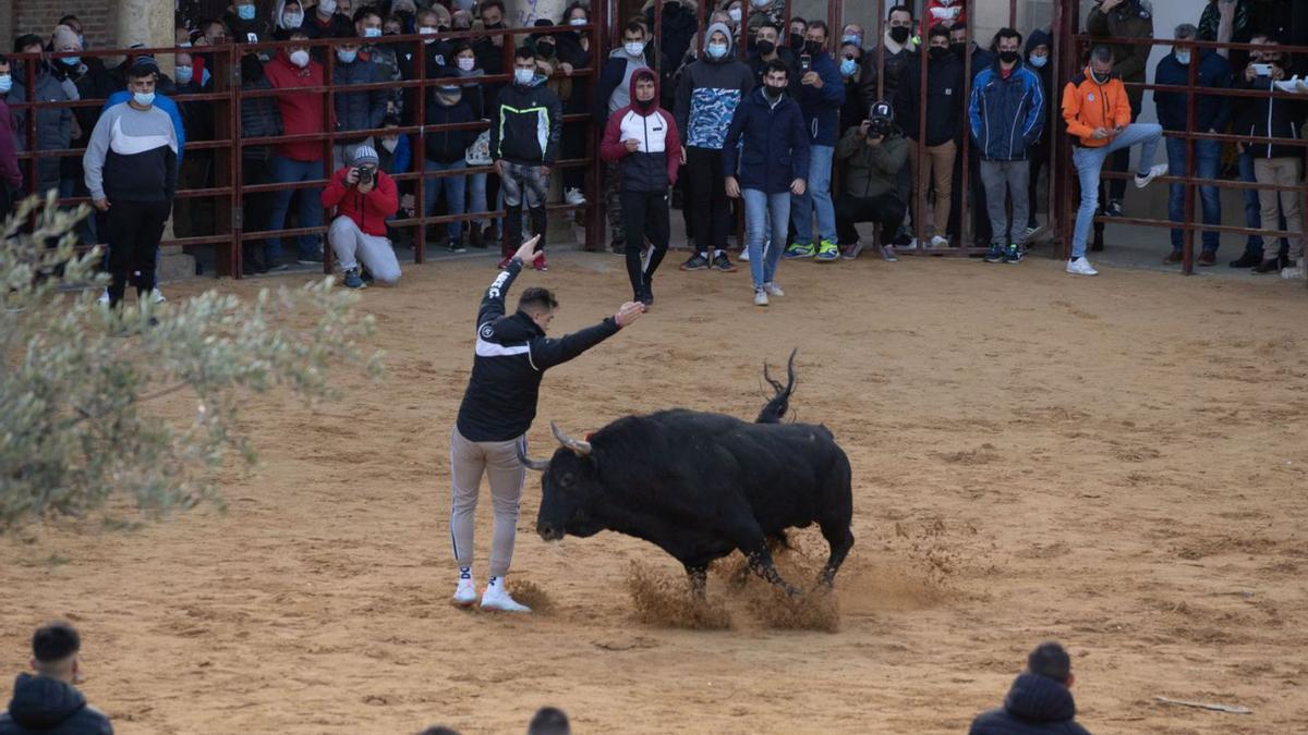 Distintos momentos del festejo taurino celebrado ayer durante la mañana y la tarde en Villalpando dentro de los actos de la fiesta de La Purísima. | José Luis Fernández