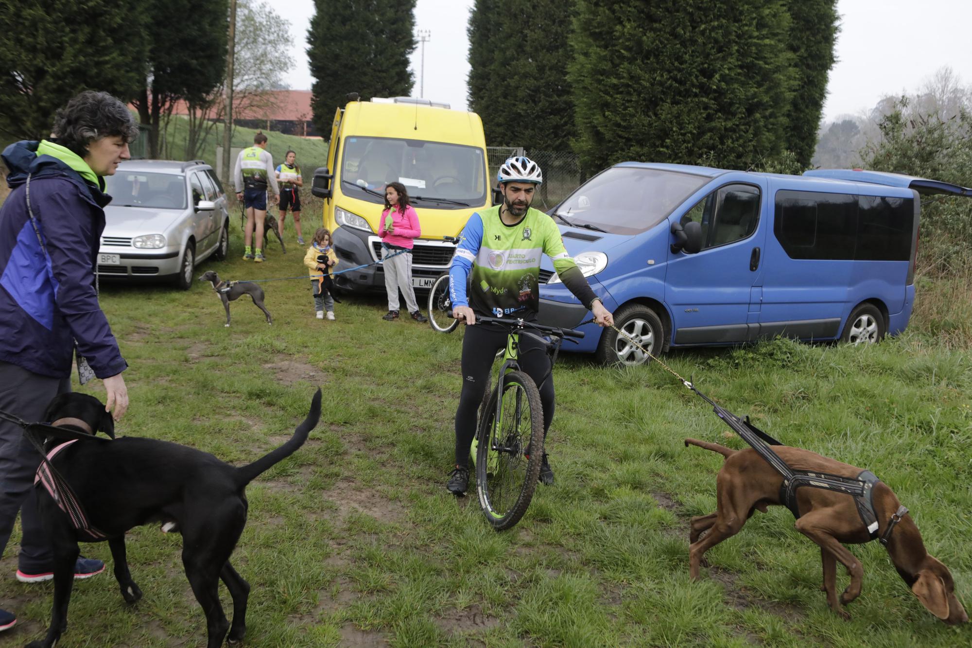 Los corredores del Celtastur de Llanera y sus perros preparan el Mundial en La Morgal: cuatro de sus integrantes estarán en la cita de Plédran (Francia)