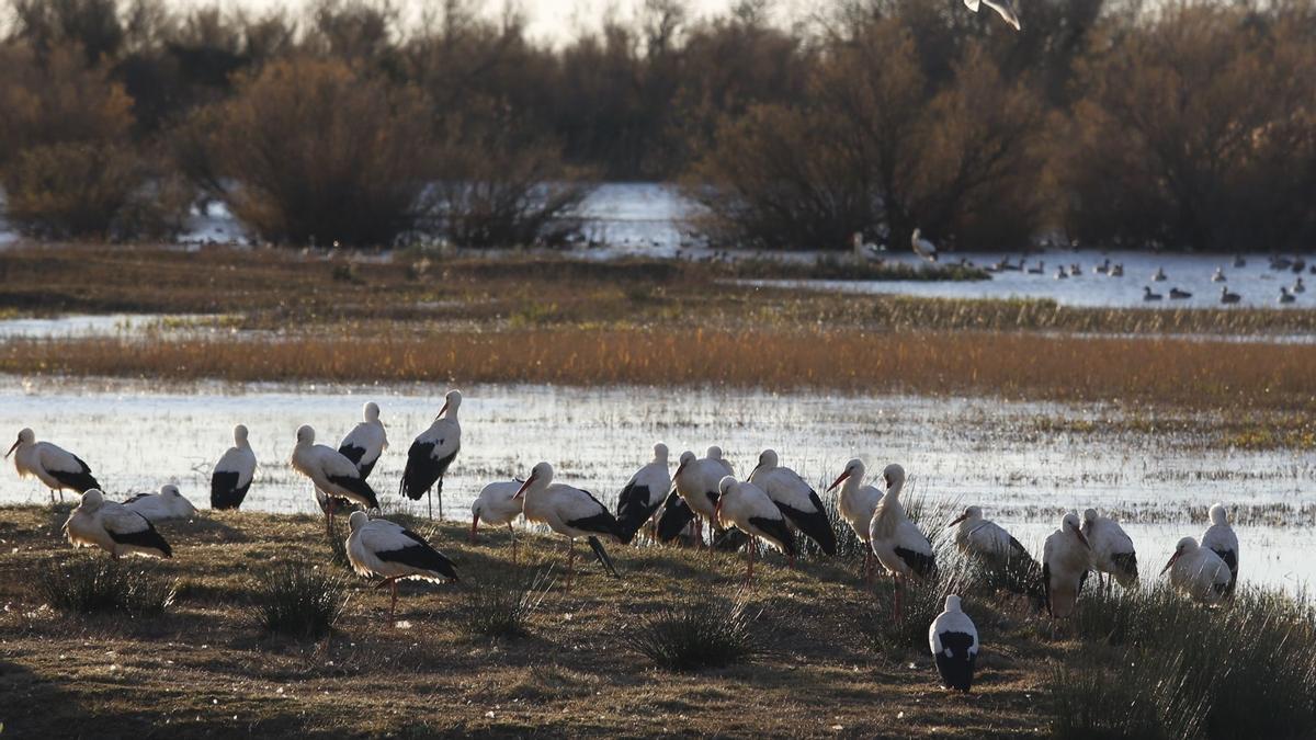 El món rural guanya pes en la futura Agència de  la Natura