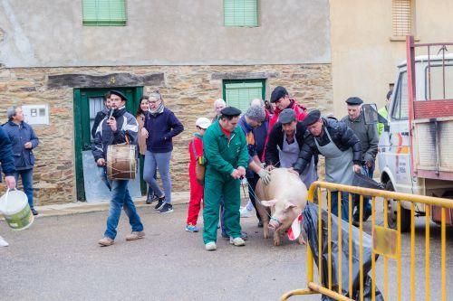 Matanza del cerdo en Tábara