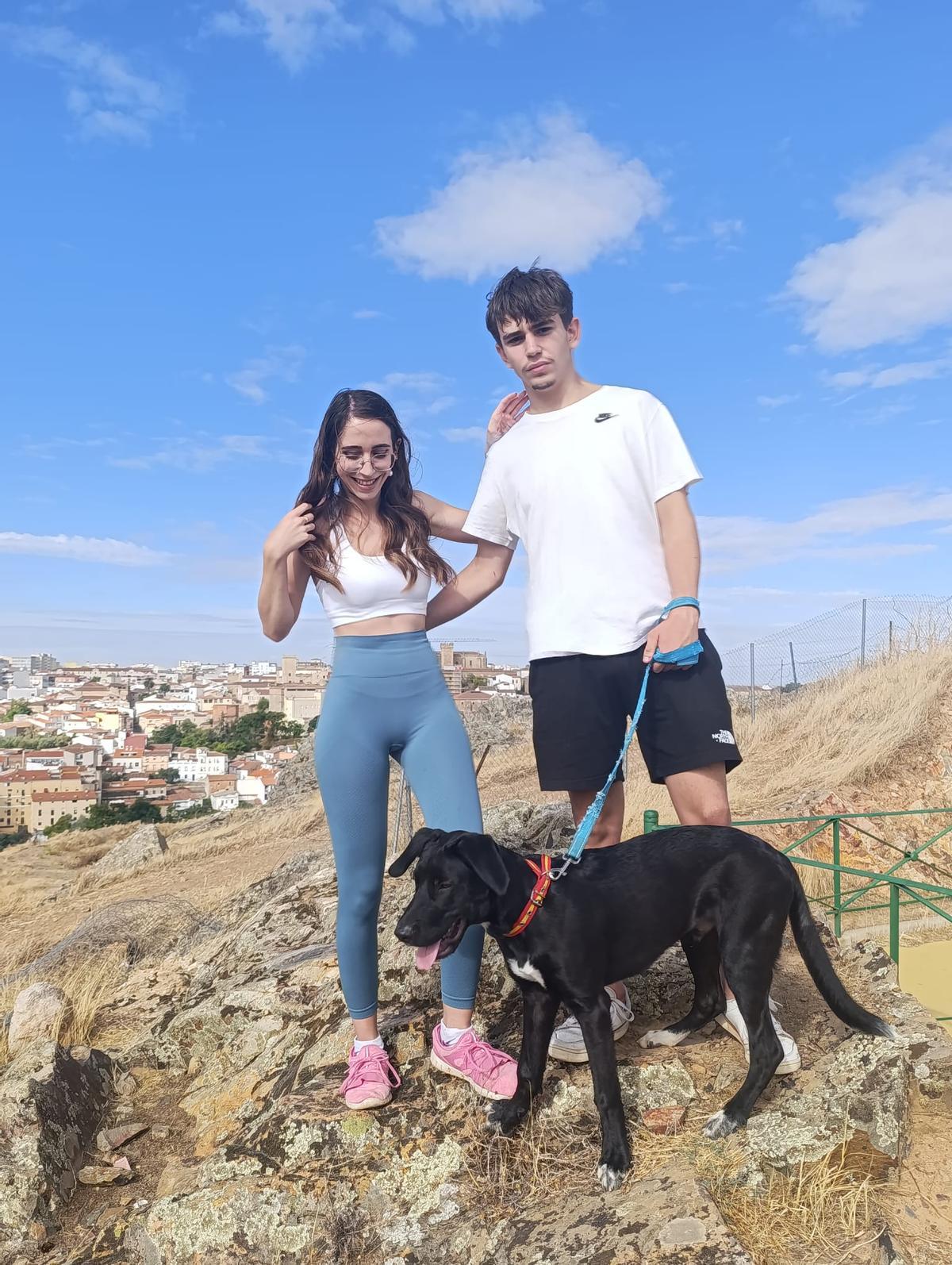 Galería | Así es Boss, el perro perdido en el entorno de Aliseda Galería | Así es Boss, el perro perdido en el entorno de Aliseda