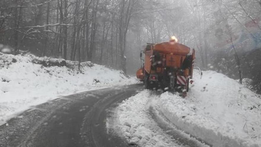 Les màquines llevaneus treballen al Montseny.