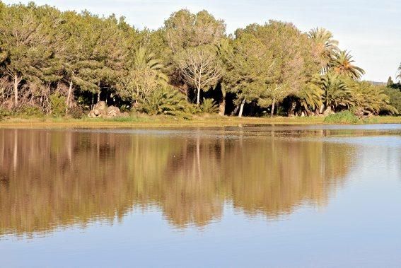 In dem kleinen Dorf in der Nähe des Flughafens von Mallorca steht das Wasser - und fließt seit Dezember nicht ab. Die Anwohner beklagen die Untätigkeit der Politik.