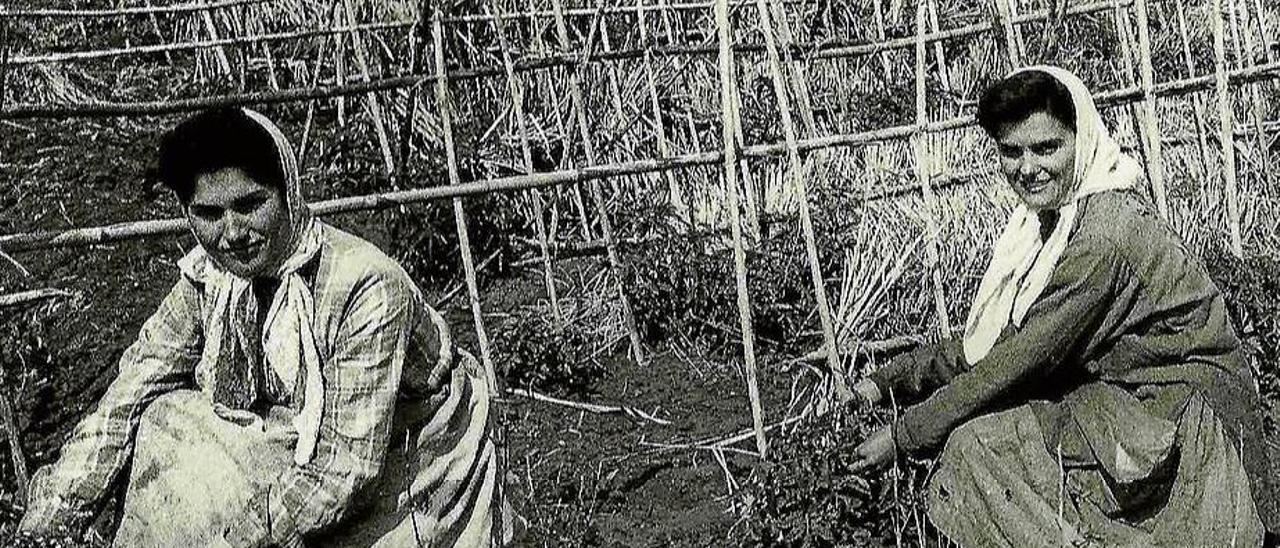 El maltrato a la mujer tiene demasiada historia