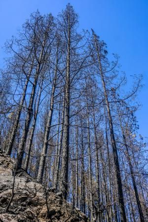 Consecuencias del incendio: De Valleseco a Artenar