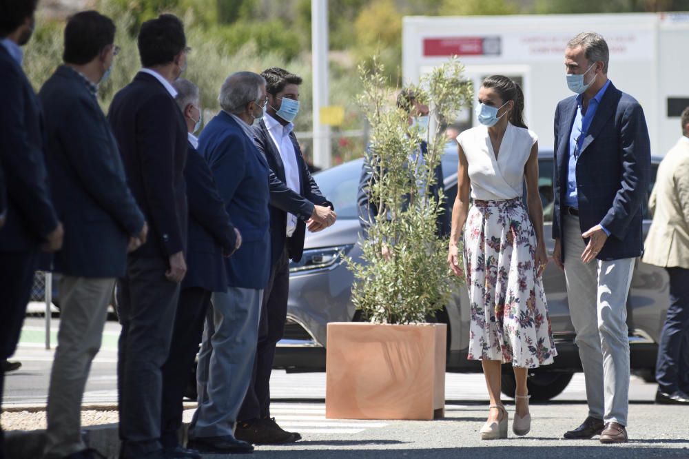 Visita del rey Felipe VI y la reina Letizia al IMIB en Murcia