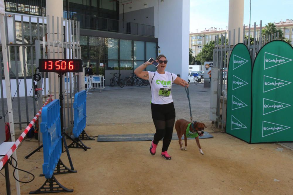 El Parque Huelin ha acogido la primera edición de un evento destinado a las mascotas y a sus dueños, con carreras en diversas categorías, actividades gratuitas y numerosos stands