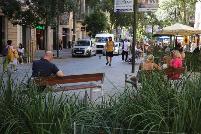 Barcelona abre un expediente a una pastelería por el gigante queso con ojos de su fachada