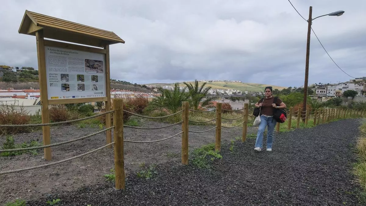 El corredor verde de Tamaraceite a Ciudad Alta vive un acelerón