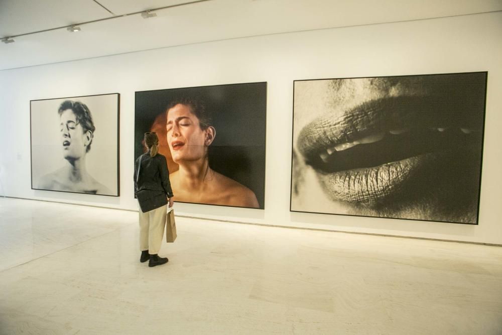 El MACA inaugura la exposición Mírame. Retratos en la colección La Caixa de Arte Contemporáneo