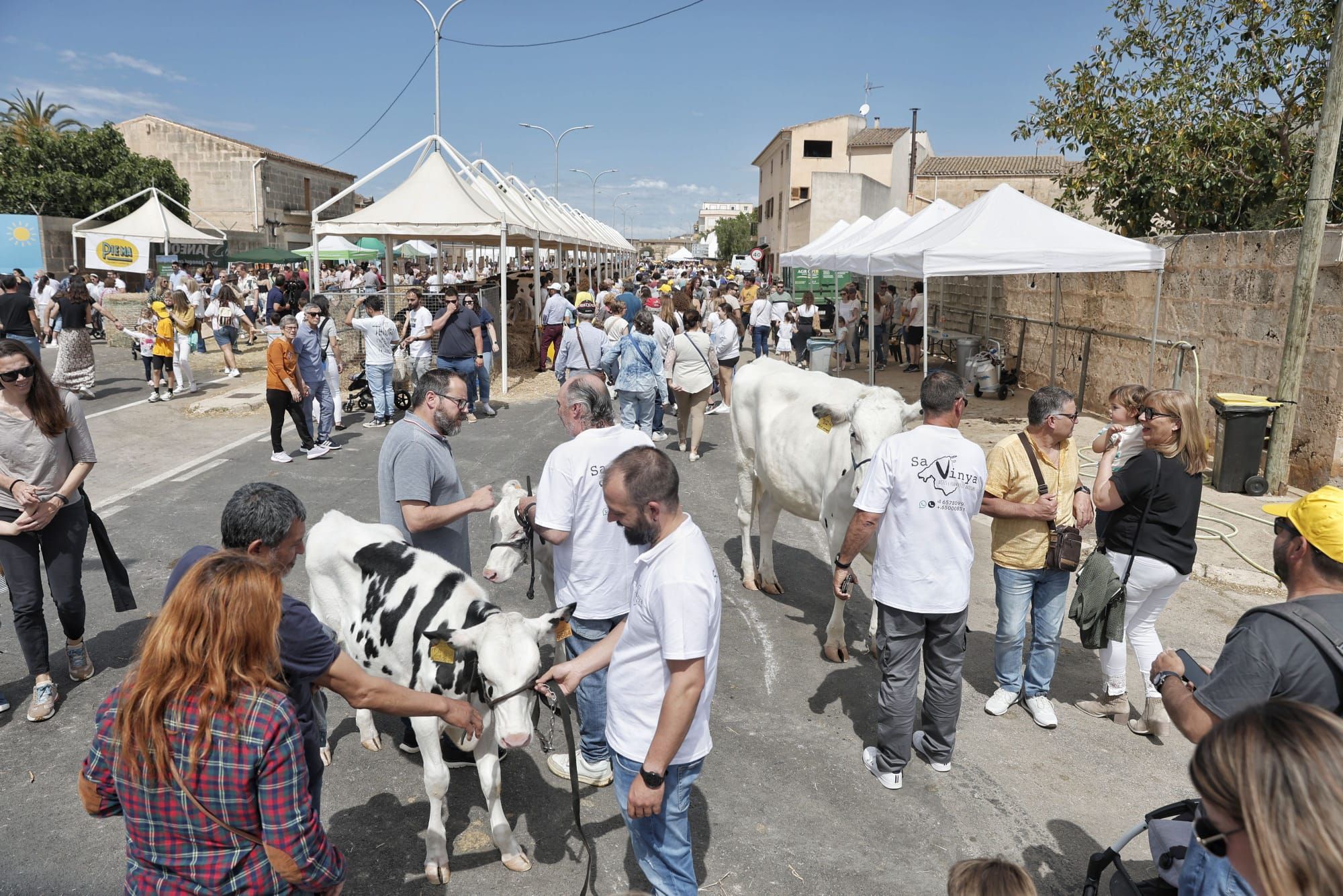 FOTOS | Las ferias de este domingo en distintos pueblos de Mallorca, en imágenes