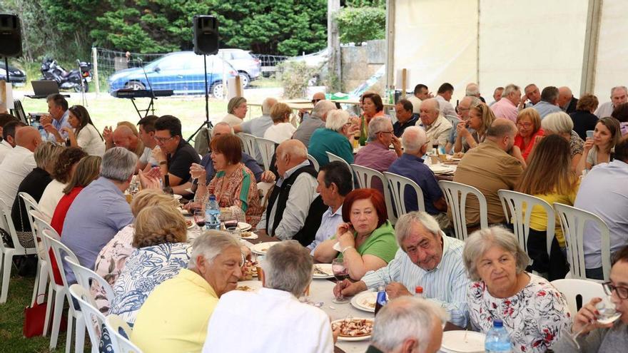 Los comuneros de San Vicente de O Grove promocionan sus vacas cachenas