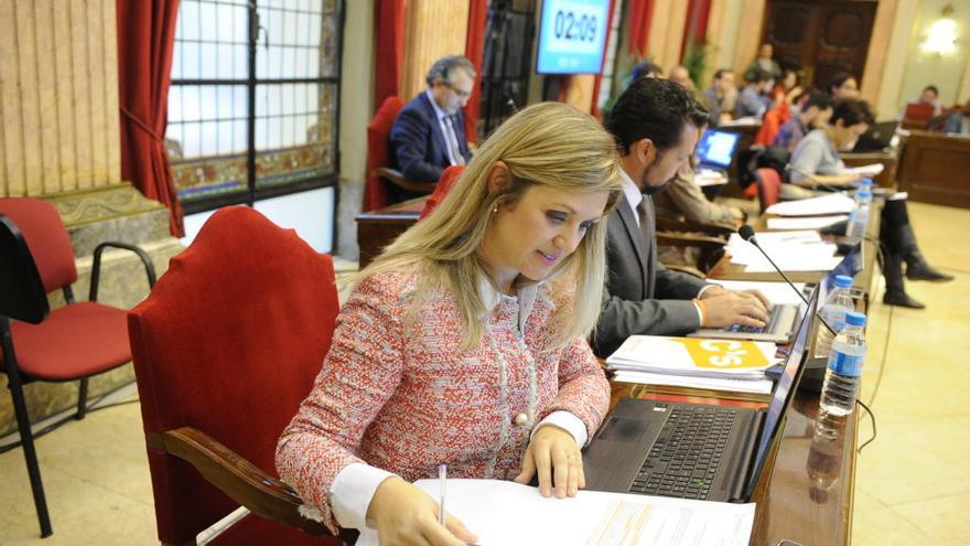 La propuesta de Cs recibe el apoyo unánime de toda la corporación