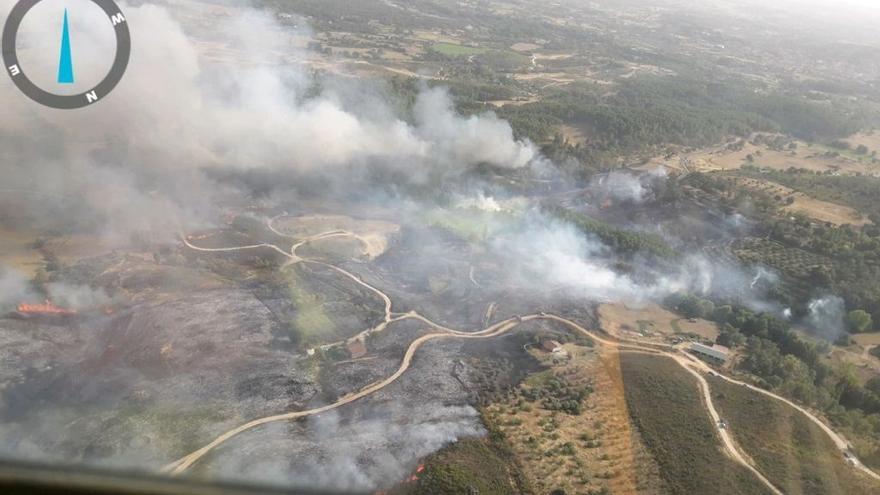 Declarado nivel 2 de peligrosidad en un incendio en El Raso (Ávila) por evacuaciones y riesgo para la población