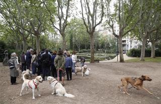 Perro come perro y otros desmanes caninos en el Turó Park