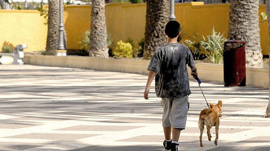 La capital tendrá una red de parques caninos