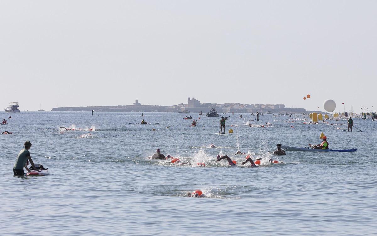 Las imágenes de La Travesía a nado Tabarca - Santa Pola