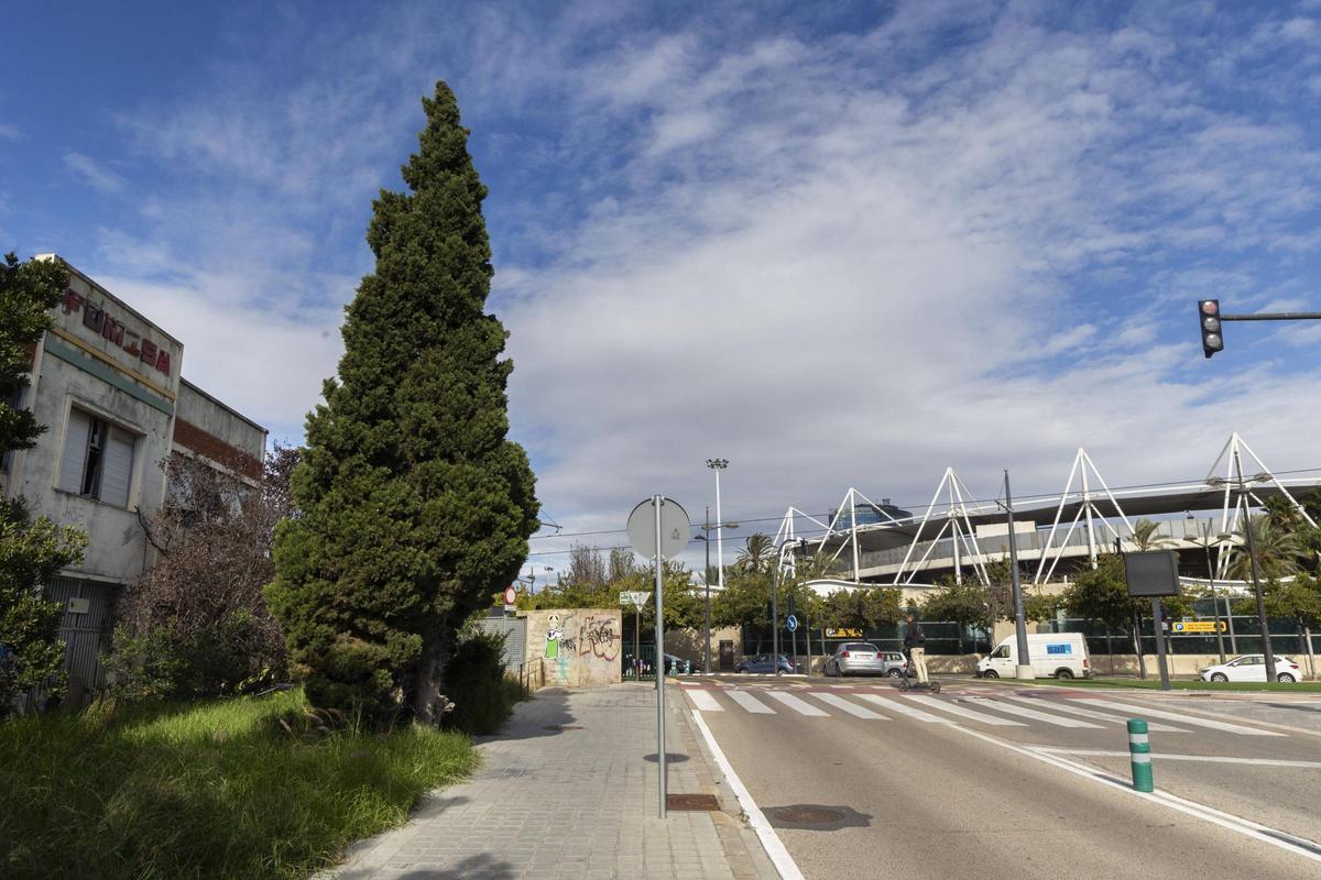 La nave a la que se apunta como origen de la infección