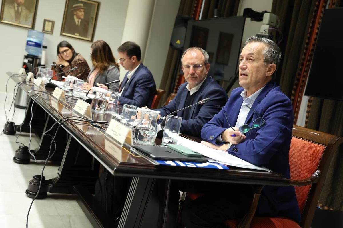 José Miguel Ruano (d) y el resto de representantes de los cabildos en su comparecencia en el Parlamento.