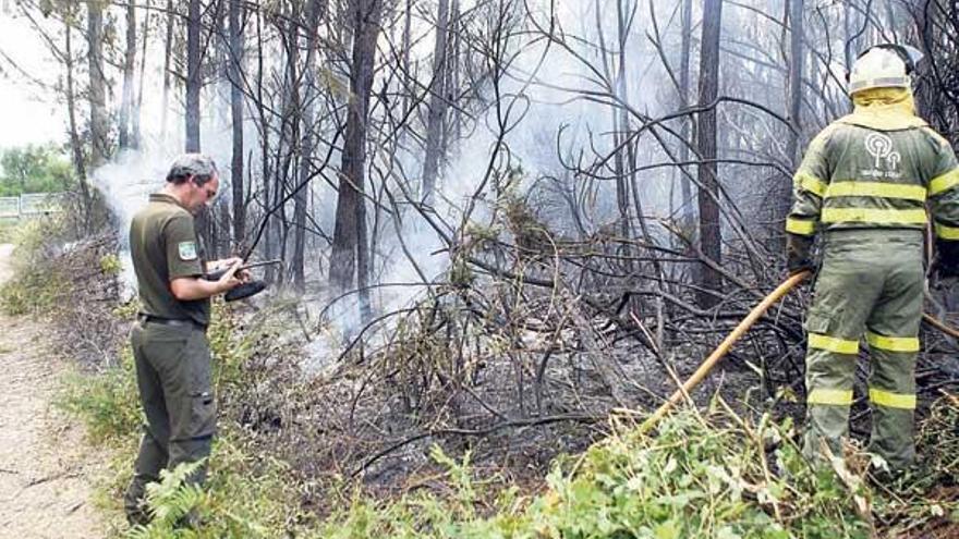 Brigadistas controlan un incendio del pasado mes en A Estrada (Pontevedra).  // Bernabé/Luismy