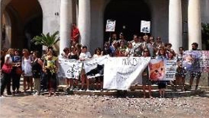 Alguns dels assistents a la protesta en defensa dels gats.