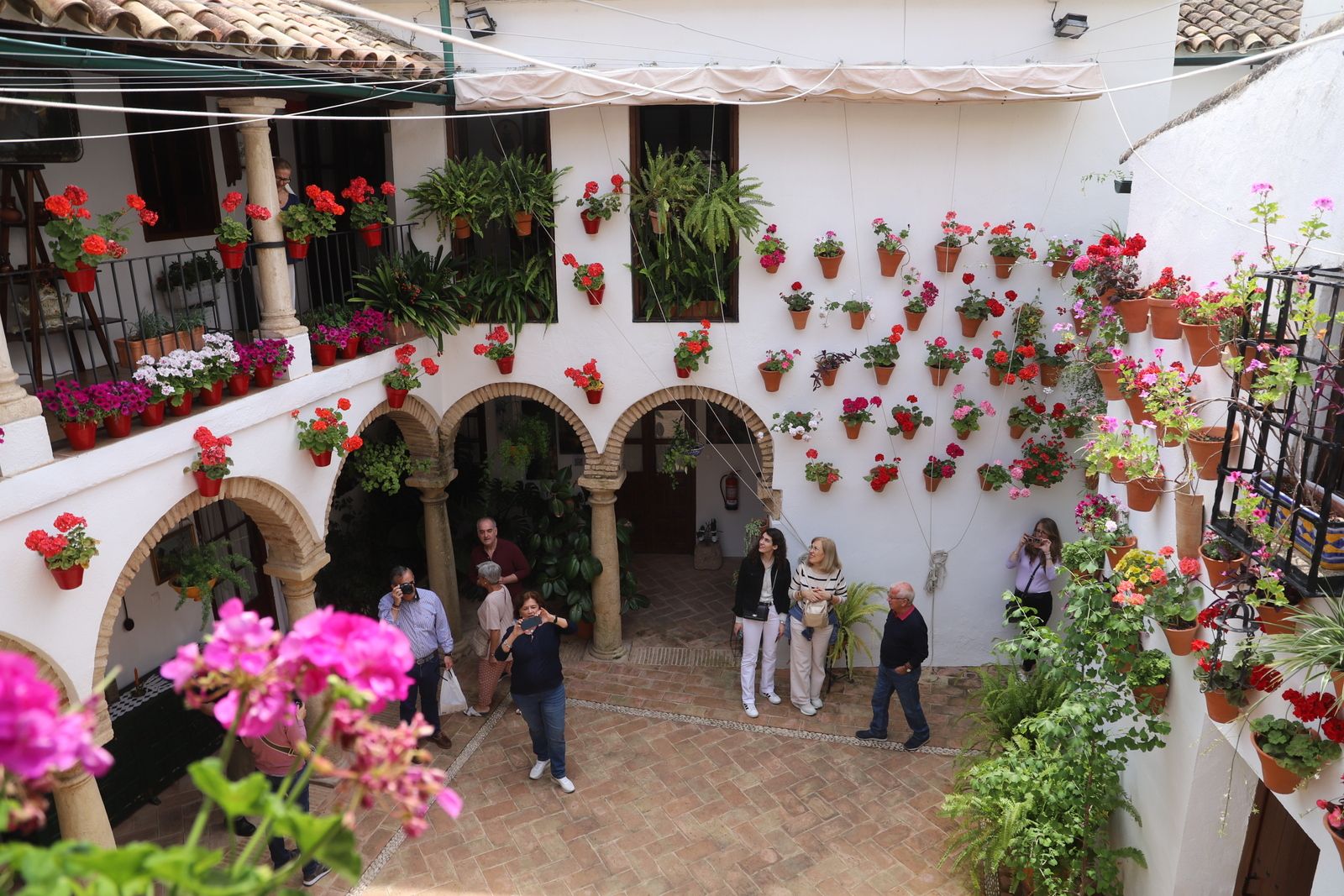 La Ruta 4 de los Patios de Córdoba, en imágenes