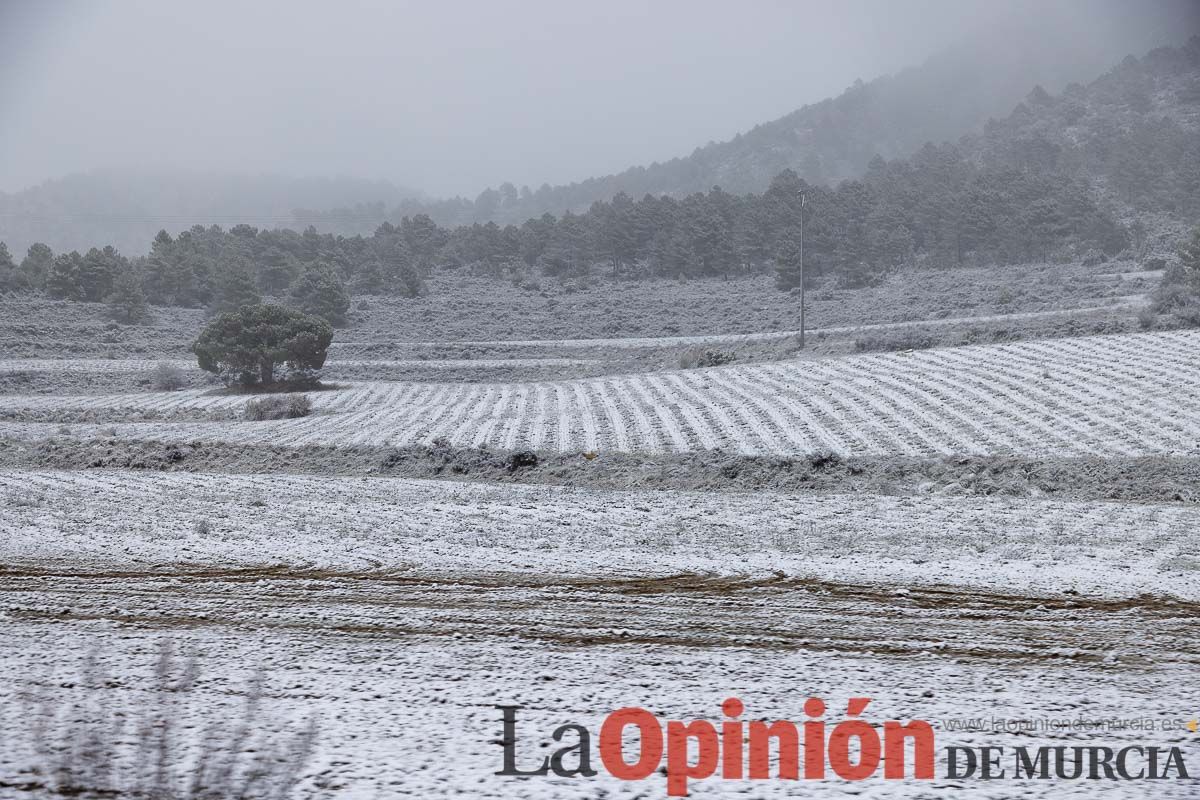 Nieve en el Noroeste