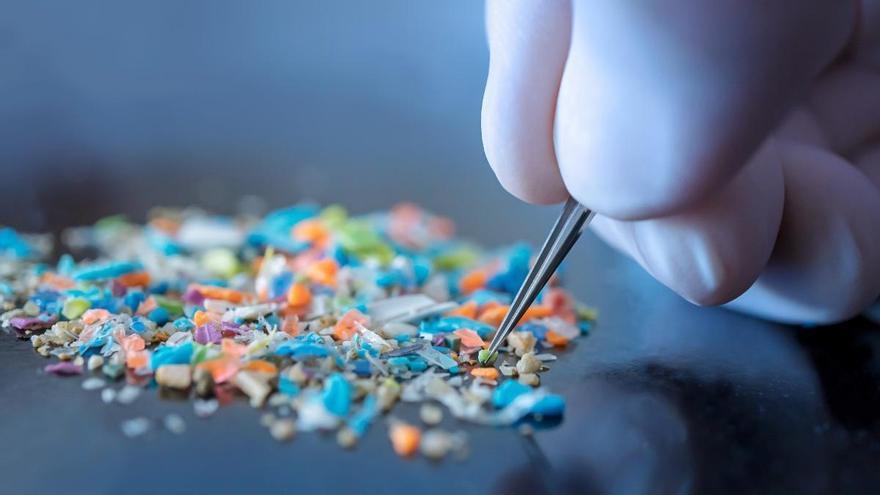 Microplásticos en el cuerpo humano: aumenta hasta un 50% su concentración en riñones, hígados y cerebro en 8 años
