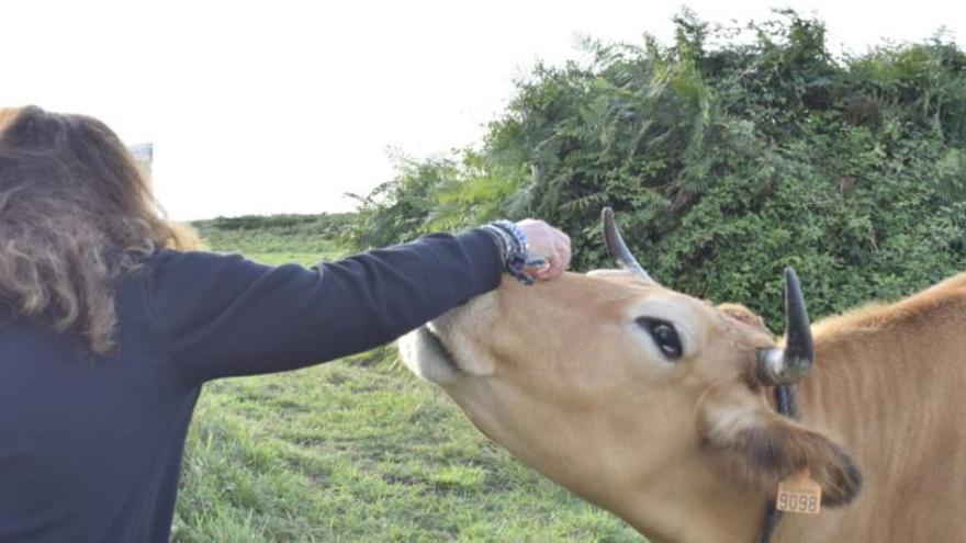 Lucía Etxebarría la lía en Twitter por una foto con un toro