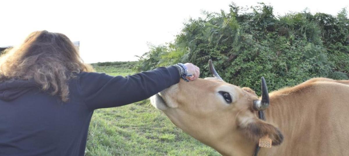 Lucía Etxebarría la lía en Twitter por una foto con un toro