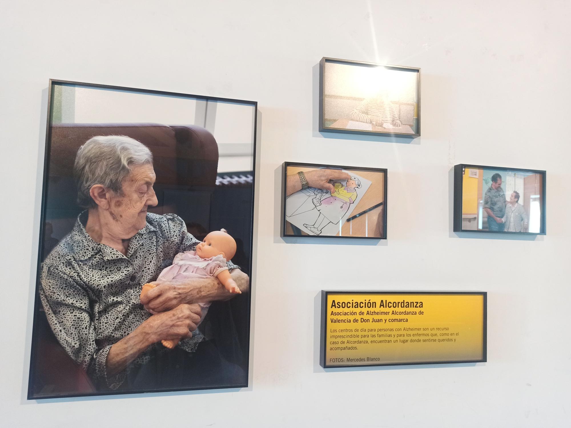 La exposición "Nuestros vecinos invisibles" sorprende a los alumnos del instituto de Llanera: "Es inspiradora"