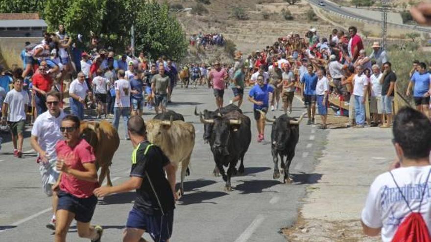 Multitud de personas participaron en la tradicional carrera desde el río hasta el pueblo