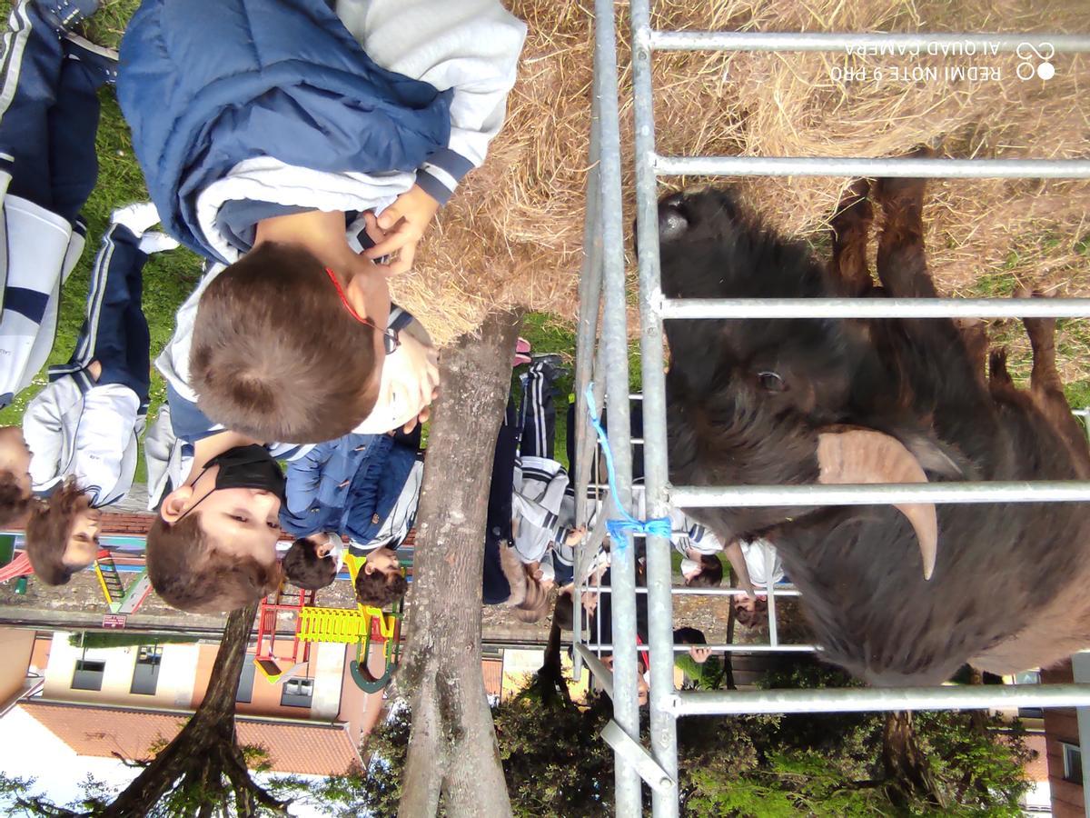 Visitas muy especiales durante la semana Stem.