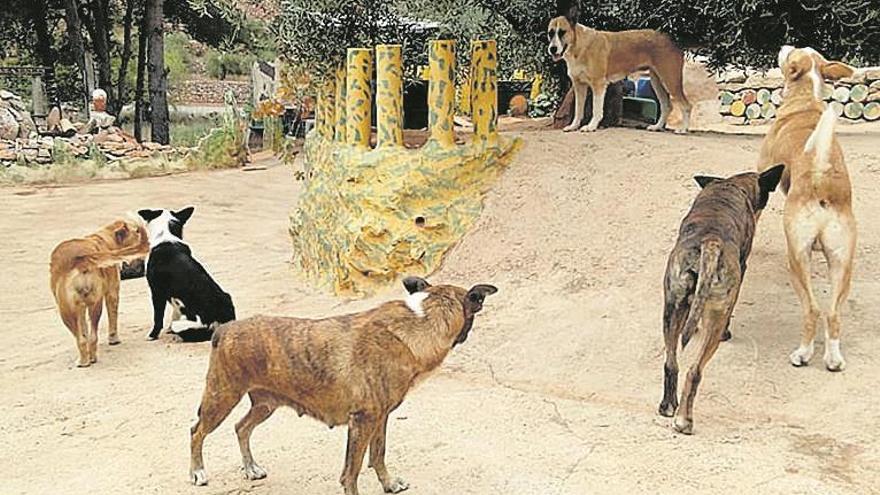 Piden cárcel para el dueño de los perros que mataron a un agricultor