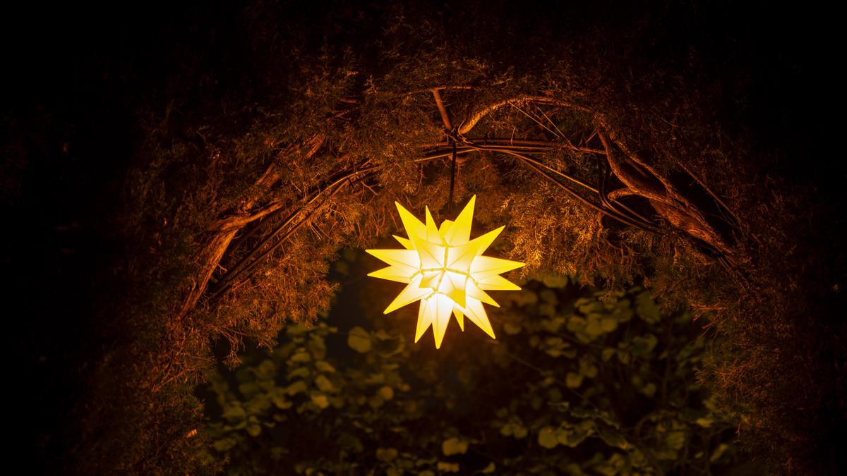 Una de las luces de Navidad del espectáculo que acoge Jardins de Vivers, en València.