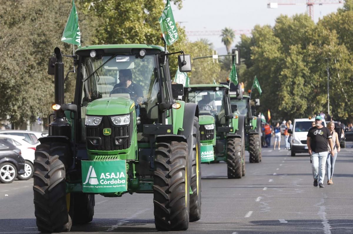 Multitudinaria manifestación en defensa del mundo rural.