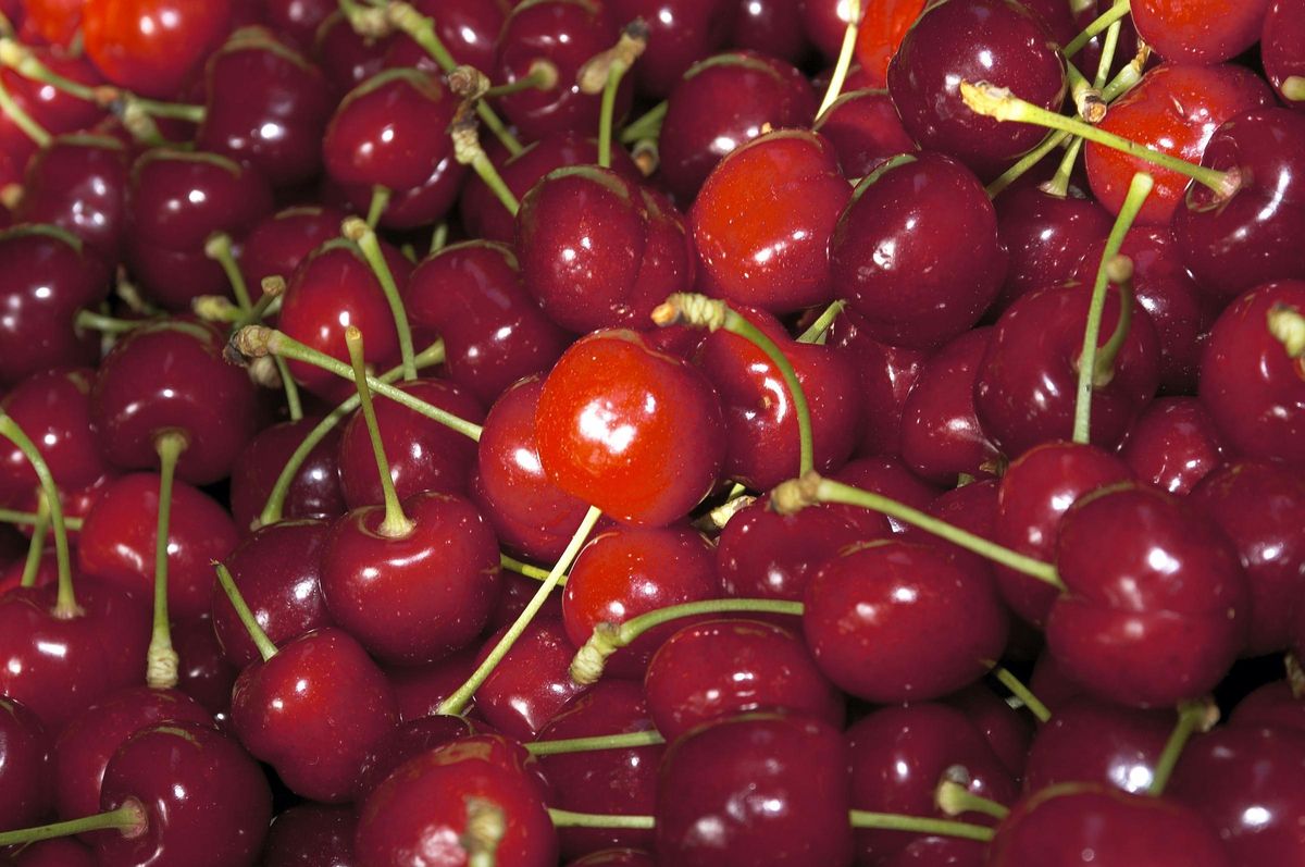 Cerezas del Jerte.