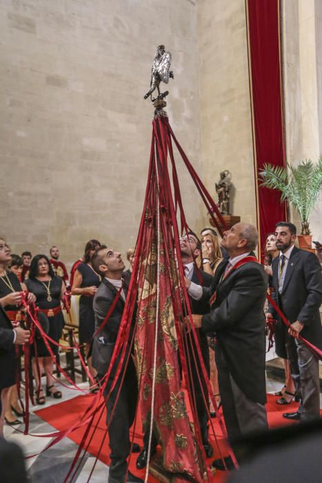 El día del Pájaro en Orihuela