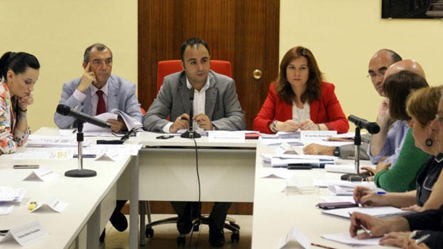 La comisión fue dirigida por Mario Cortés y contó con técnicos de varias áreas.