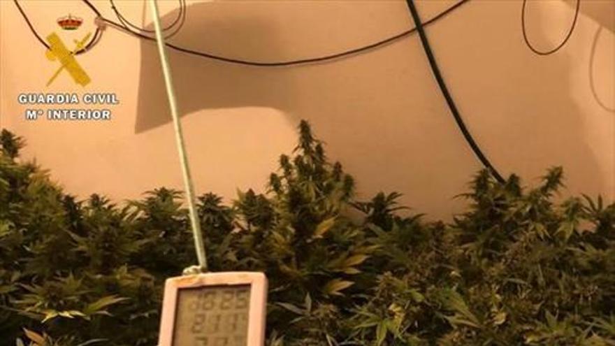Cuatro detenidos por cultivar marihuana en una vivienda de Caspe