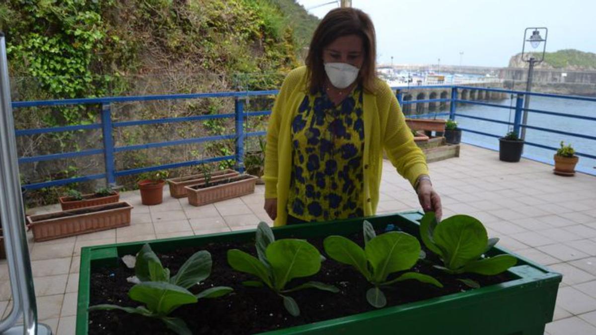 Una de las terrazas del centro, con plantas. | A. M. S. 