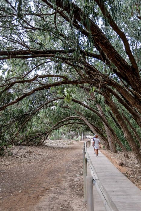 Parque Natural de las Lagunas