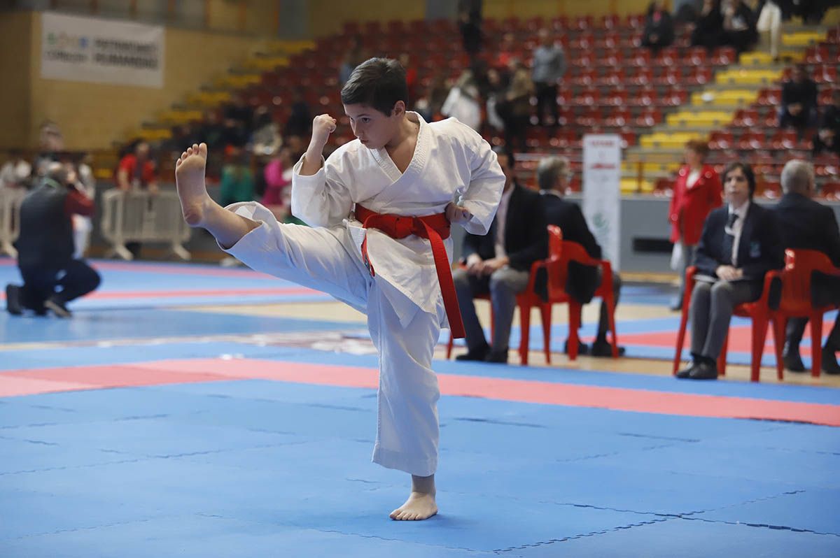 El Campeonato de Andalucía infantil de kárate y de parakárete, en imagenes