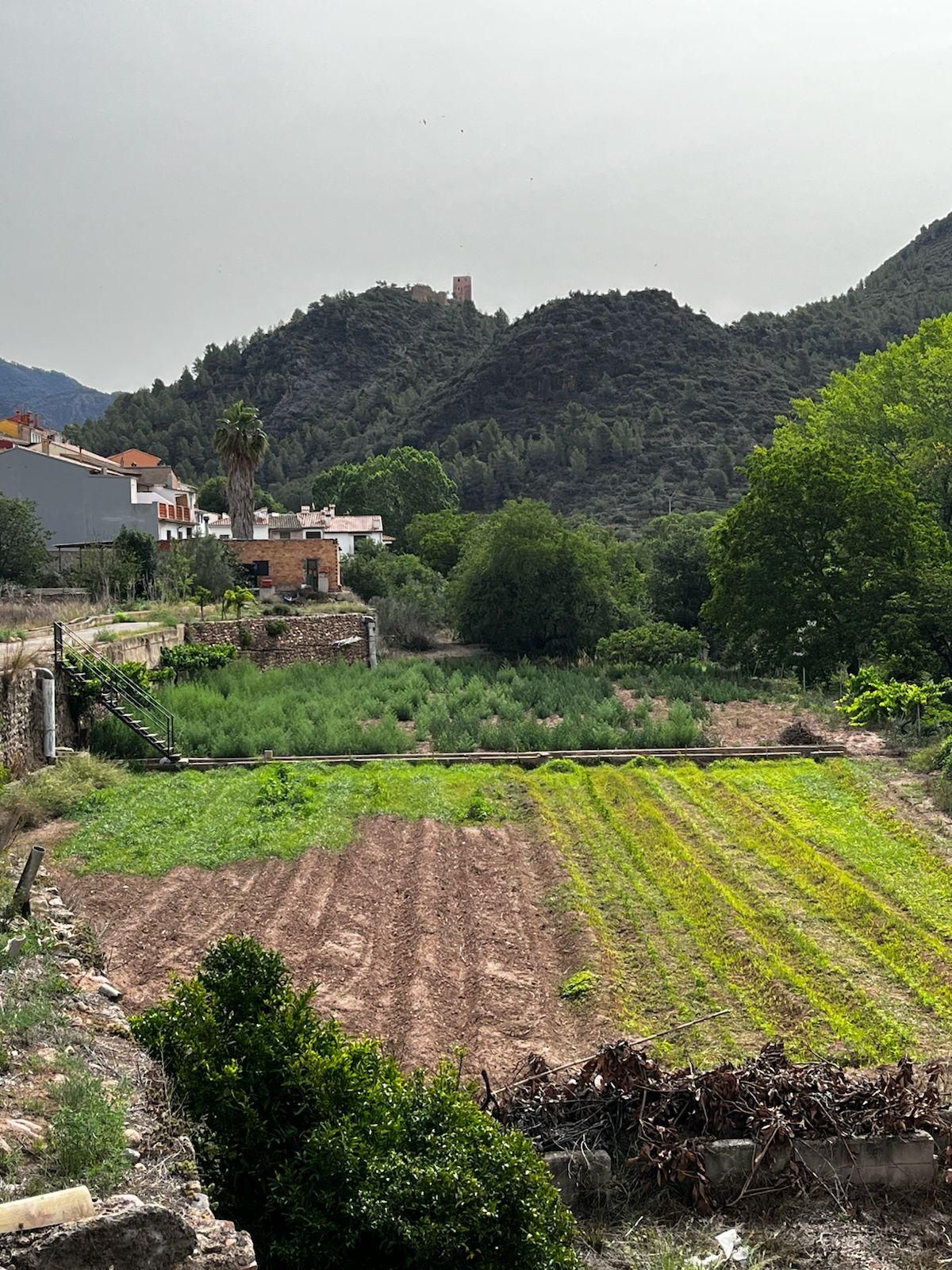 Els horts urbans d'agricultura ecològica formen part de la iniciativa.