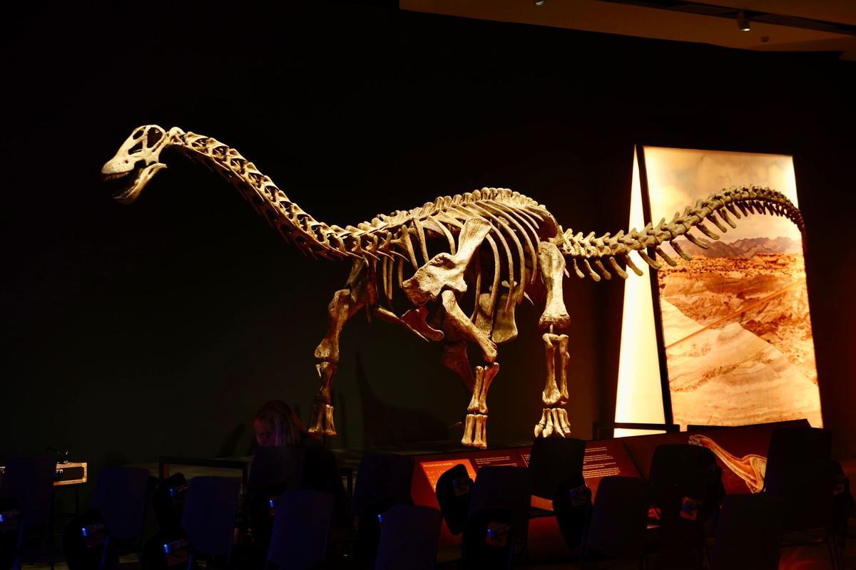 "Dinosaurios de la Patagonia" en CaixaForum.