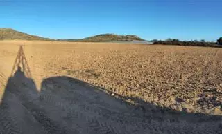 Parcelas de regadío se vuelven de secano para ‘salvar’ el Mar Menor