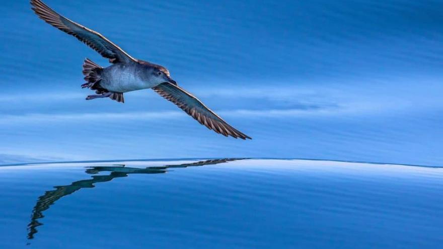 El concurs MedFoto estrena categoria en la seva tercera edició